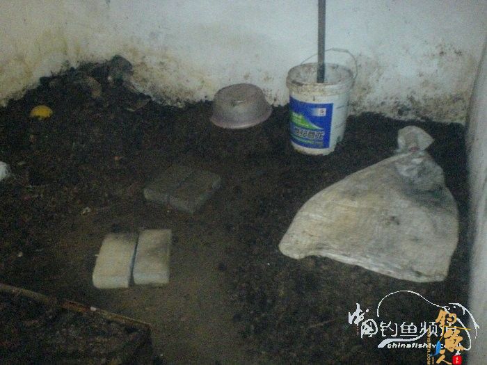 生物饵料-万能钓饵-蚯蚓的自我饲养 by柳江鱼迷 配图