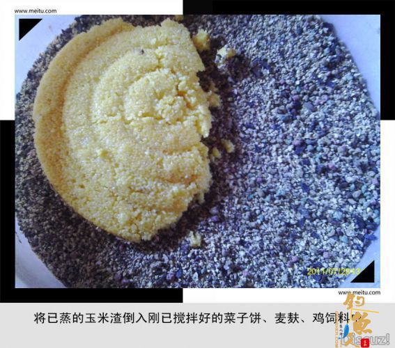 超级炸弹饵经典制作图献！ BY  龙王女婿