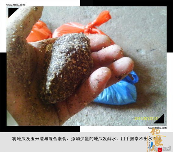 超级炸弹饵经典制作图献！ BY  龙王女婿