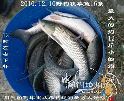 我的自制极品草鱼饵 配图说明