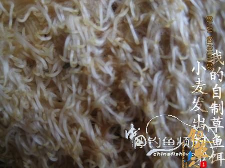 我的自制极品草鱼饵 配图说明