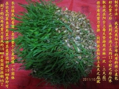 我的自制极品草鱼饵 配图说明