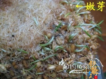 我的自制极品草鱼饵 配图说明