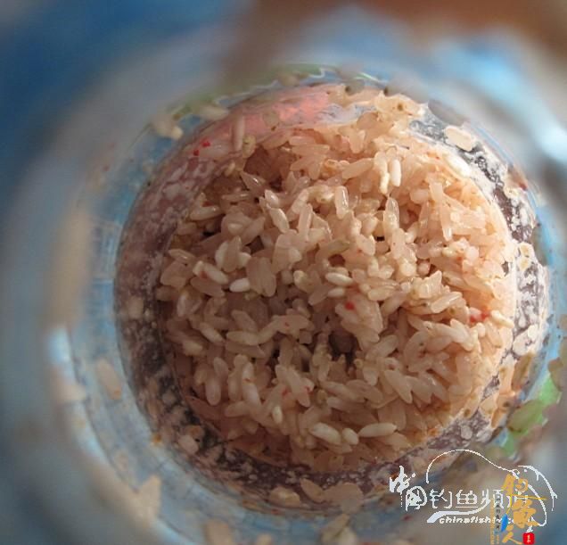 自己泡的酒米BY浪子钓心 图