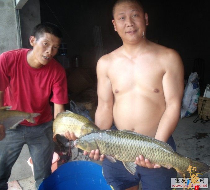 鲁班水库钓友大丰收 鲁班钓友日记