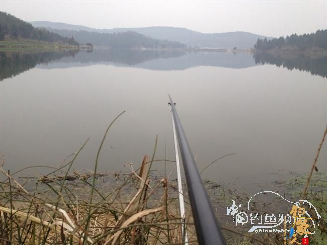 庸人自扰,开心得鲤 图 BY weh