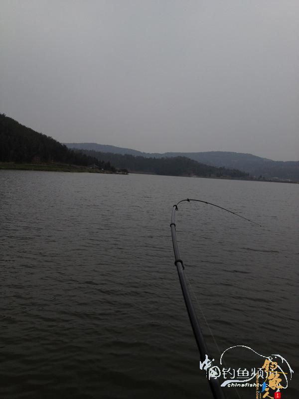 庸人自扰,开心得鲤 图 BY weh