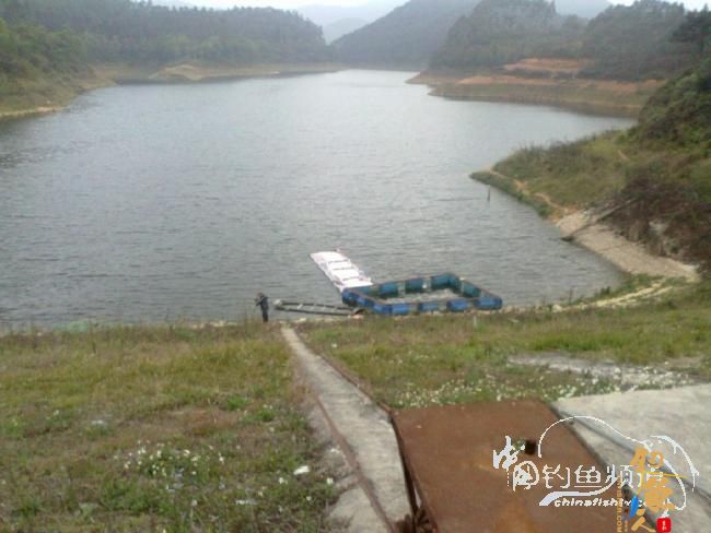 龙年第5战--元宵佳节邂逅麦鲮mm 图 作者:天语a905