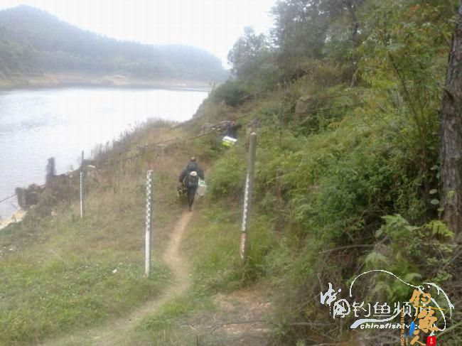 龙年第5战--元宵佳节邂逅麦鲮mm 图 作者:天语a905