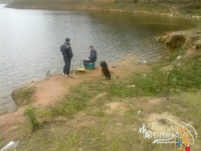 龙年第5战--元宵佳节邂逅麦鲮mm 图 作者:天语a905