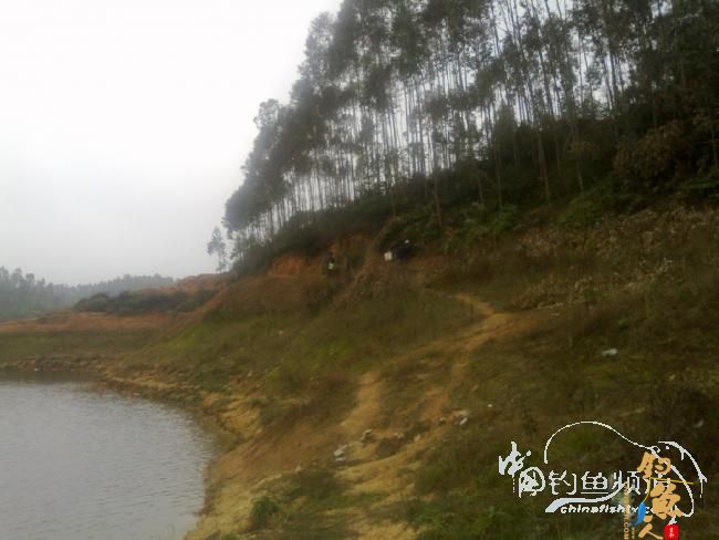 龙年第5战--元宵佳节邂逅麦鲮mm 图 作者:天语a905