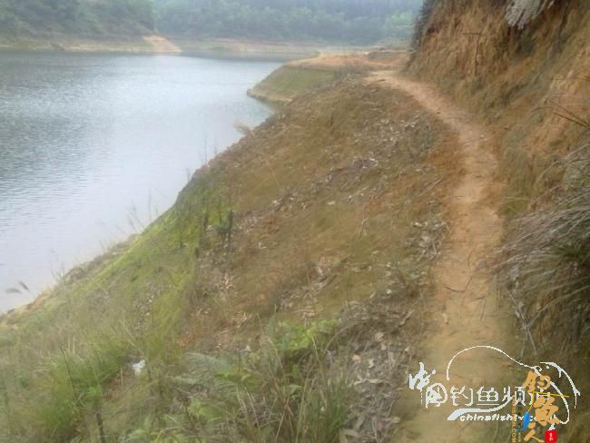 龙年第5战--元宵佳节邂逅麦鲮mm 图 作者:天语a905