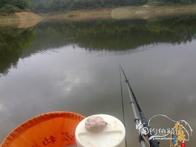 龙年第5战--元宵佳节邂逅麦鲮mm 图 作者:天语a905