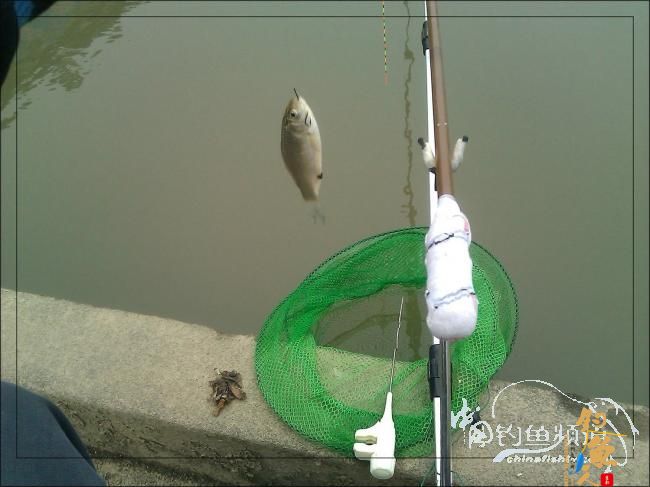 【原创】再钓三河 作者:络石峰 图