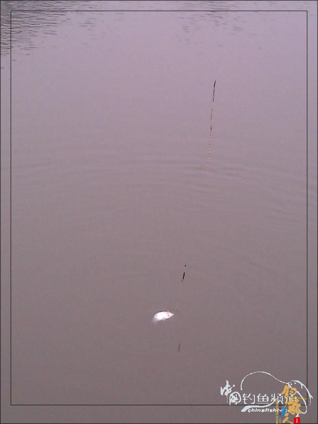 【原创】再钓三河 作者:络石峰 图