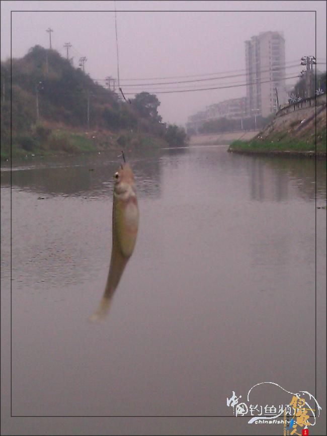 【原创】再钓三河 作者：络石峰 图