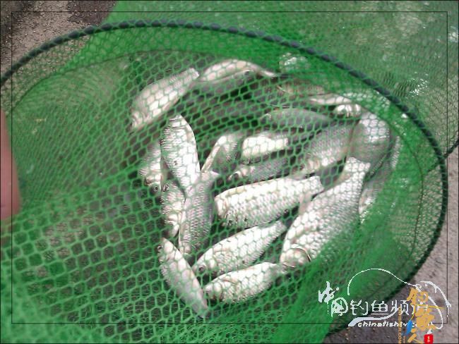 【原创】再钓三河 作者:络石峰 图