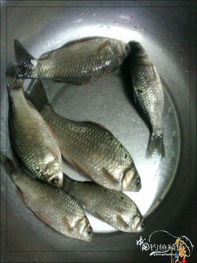 【原创】再钓三河 作者：络石峰 图