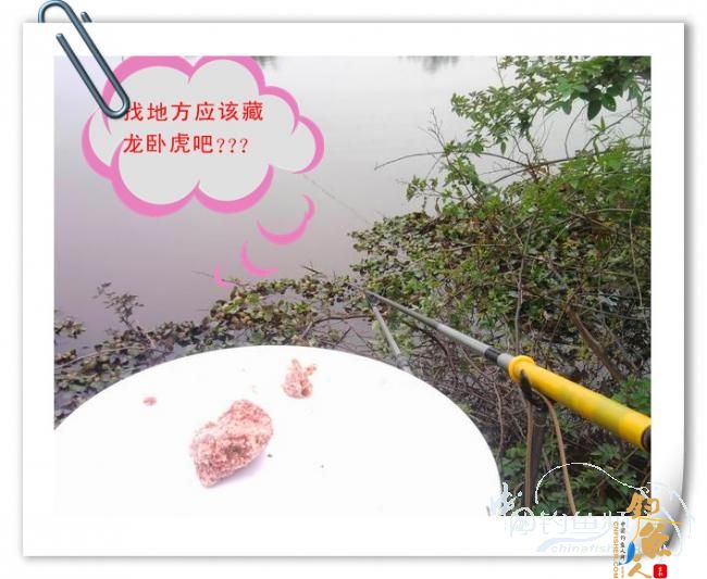 那马河哦我爱您！钓鱼佬爱大板鲫！BY爸爸鱼 图