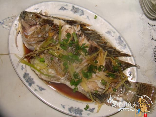 老醉钓鱼日记159：三江野河 BY 醉鱼 有图