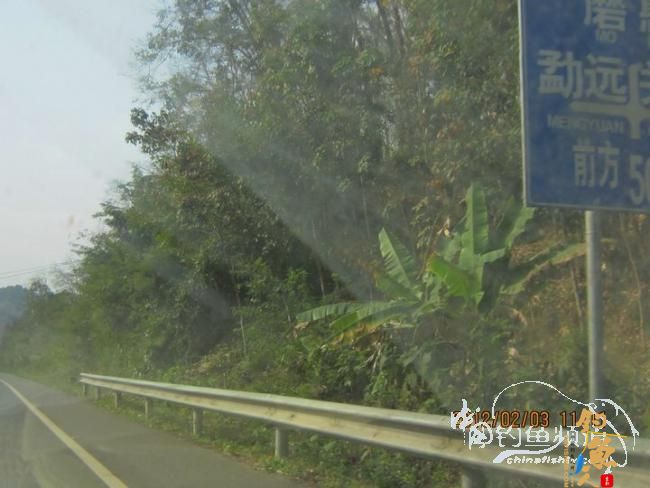 探钓南腊河纪实 BY 乡野钓鱼叟 有图有风景