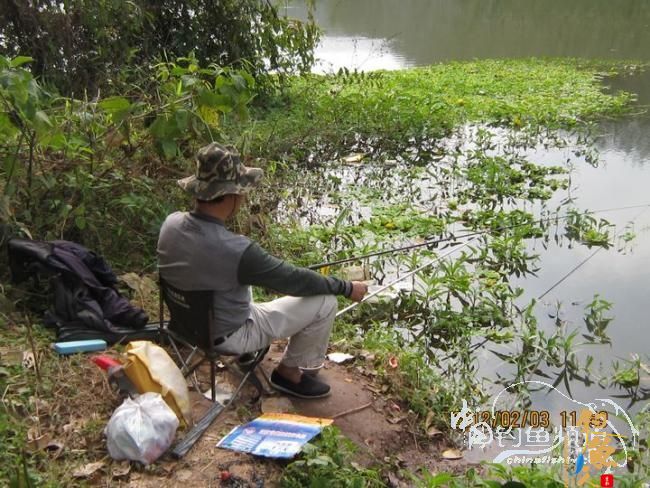 探钓南腊河纪实 BY 乡野钓鱼叟 有图有风景