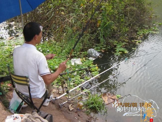 探钓南腊河纪实 BY 乡野钓鱼叟 有图有风景