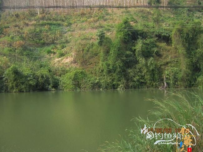 探钓南腊河纪实 BY 乡野钓鱼叟 有图有风景