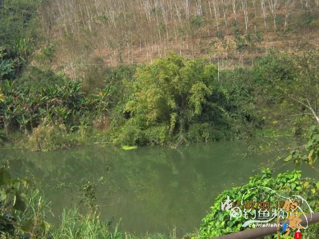 探钓南腊河纪实 BY 乡野钓鱼叟 有图有风景