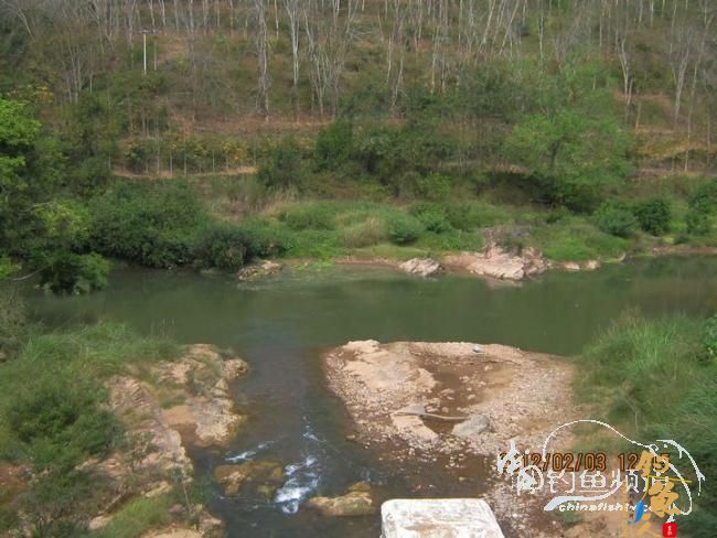 探钓南腊河纪实 BY 乡野钓鱼叟 有图有风景