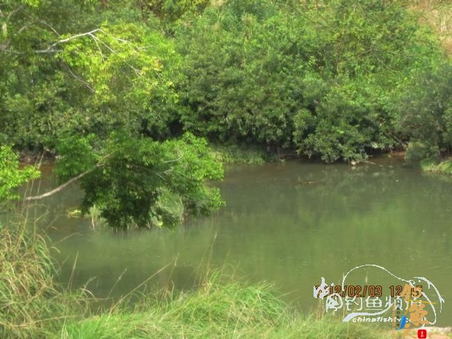 探钓南腊河纪实 BY 乡野钓鱼叟 有图有风景