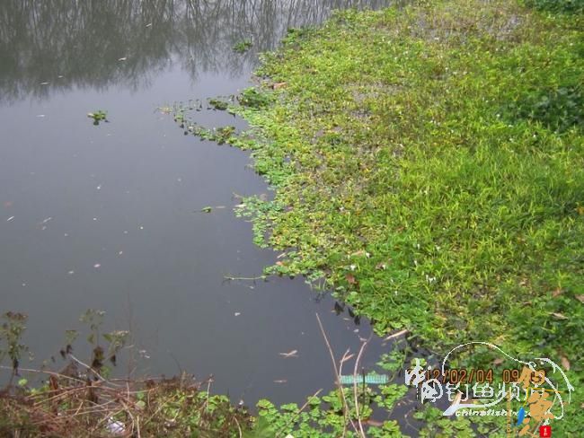 探钓南腊河纪实 BY 乡野钓鱼叟 有图有风景