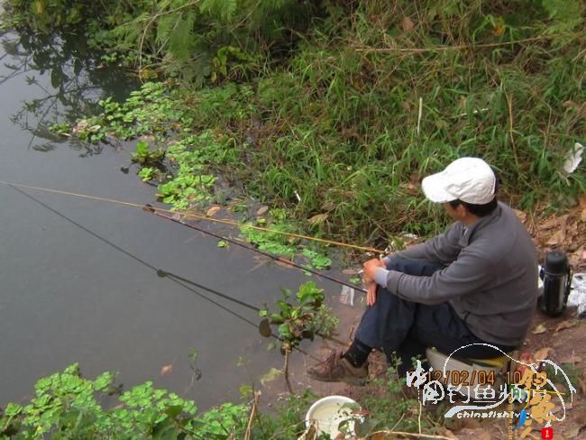探钓南腊河纪实 BY 乡野钓鱼叟 有图有风景