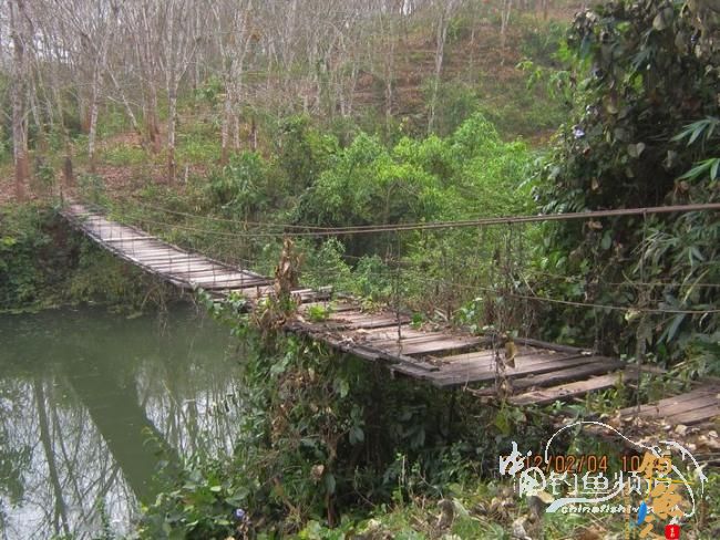 探钓南腊河纪实 BY 乡野钓鱼叟 有图有风景