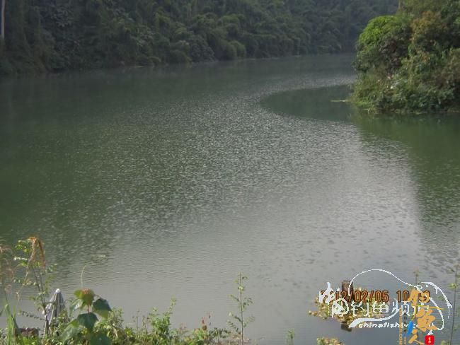 探钓南腊河纪实 BY 乡野钓鱼叟 有图有风景