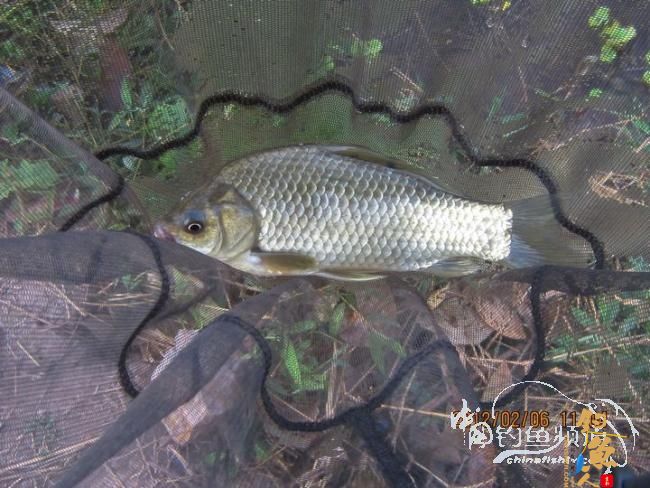 探钓南腊河纪实 BY 乡野钓鱼叟 有图有风景