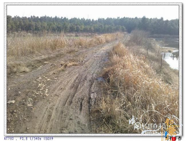 初四野钓水库 图 by 野钓手