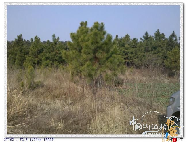 初四野钓水库 图 by 野钓手