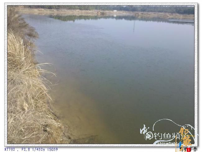 初四野钓水库 图 by 野钓手