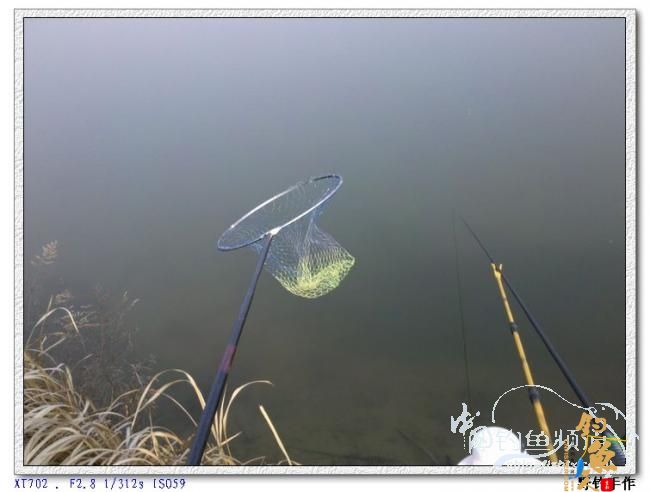 初四野钓水库 图 by 野钓手