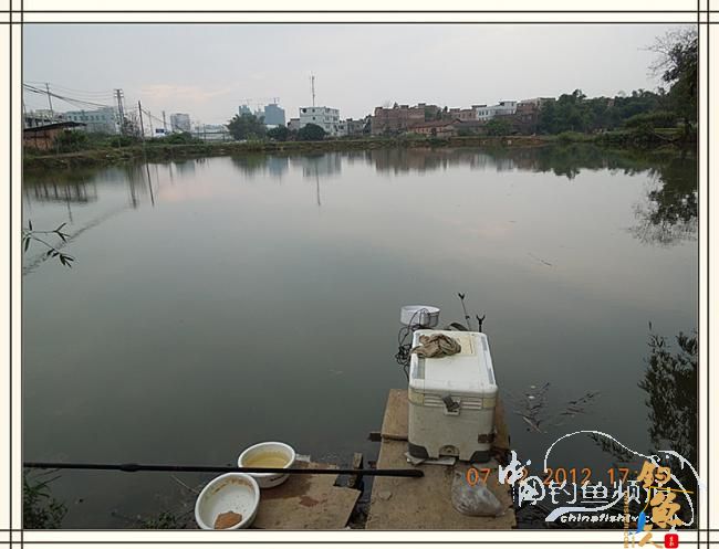 大鲫小草,昨晚变天翻风好钓鱼哦 作者:罗非鱼260