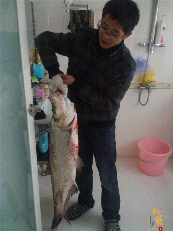 中国钓鱼人网2群兄弟 昨天搞得一大翘嘴 图