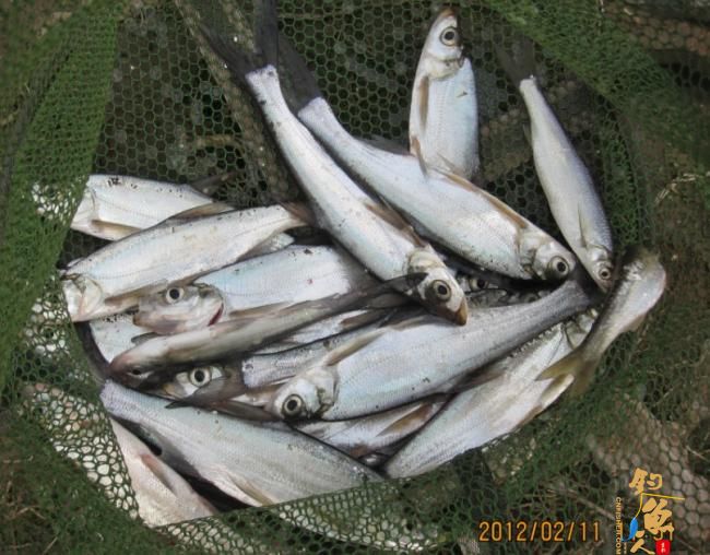 20120210升钟冰钓 图