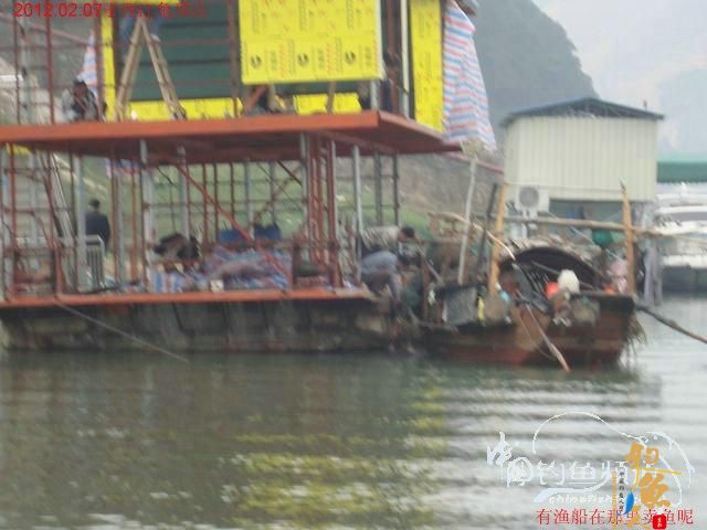 终于收获一尾大板鲫，还算不虚此行了 图