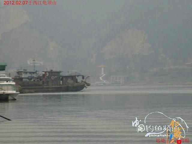 终于收获一尾大板鲫，还算不虚此行了 图