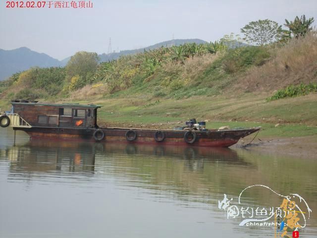 终于收获一尾大板鲫，还算不虚此行了 图