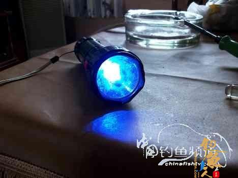 自己动手夜钓灯 拒绝奸商暴利 图
