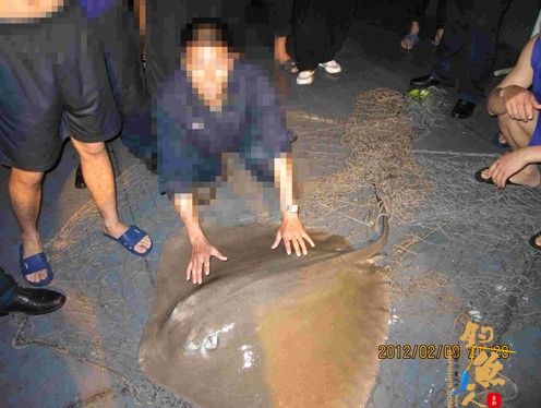 2012年最大的一条鱼 海钓 图