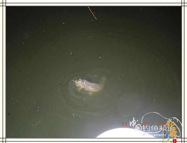 寒夜中的坚守，终于擒获大鲤 图