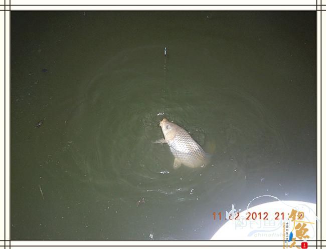 寒夜中的坚守，终于擒获大鲤 图